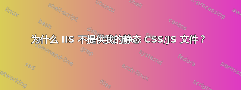 为什么 IIS 不提供我的静态 CSS/JS 文件？