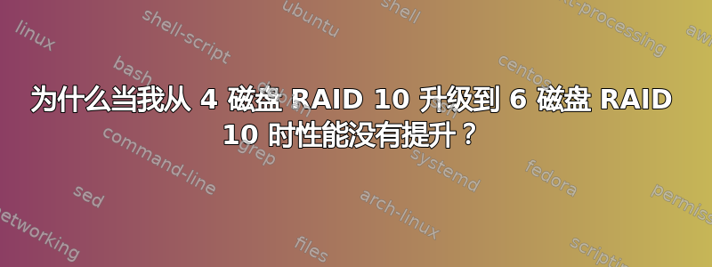 为什么当我从 4 磁盘 RAID 10 升级到 6 磁盘 RAID 10 时性能没有提升？