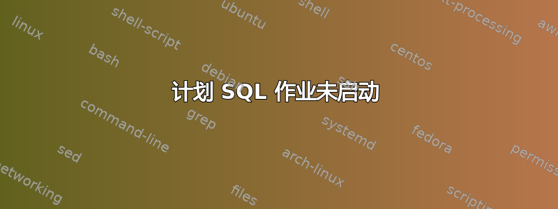 计划 SQL 作业未启动