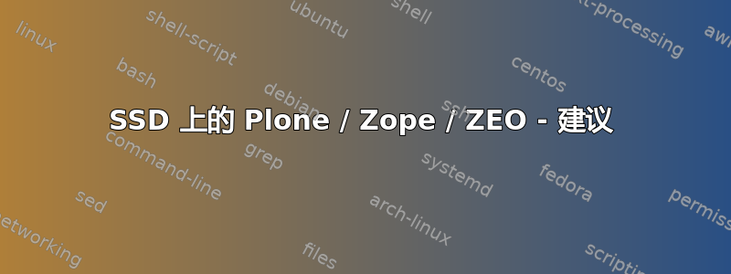 SSD 上的 Plone / Zope / ZEO - 建议