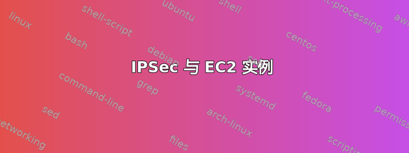 IPSec 与 EC2 实例