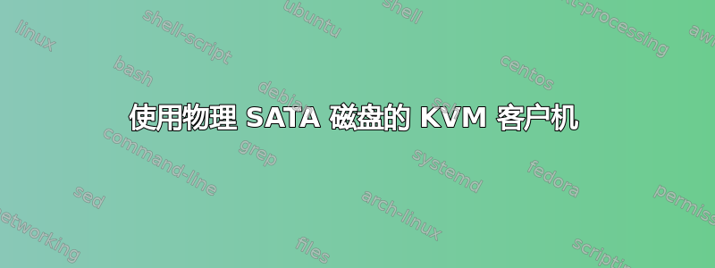 使用物理 SATA 磁盘的 KVM 客户机