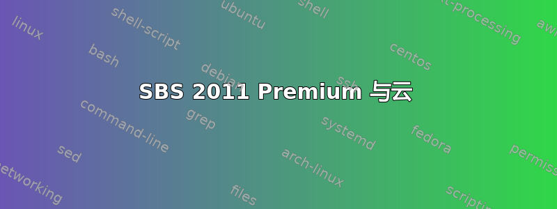 SBS 2011 Premium 与云