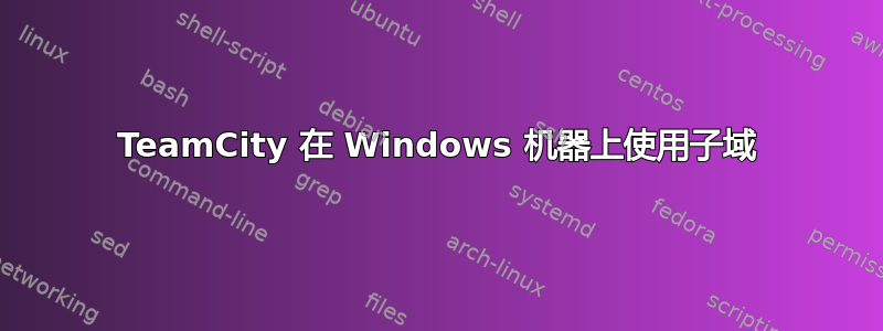 TeamCity 在 Windows 机器上使用子域