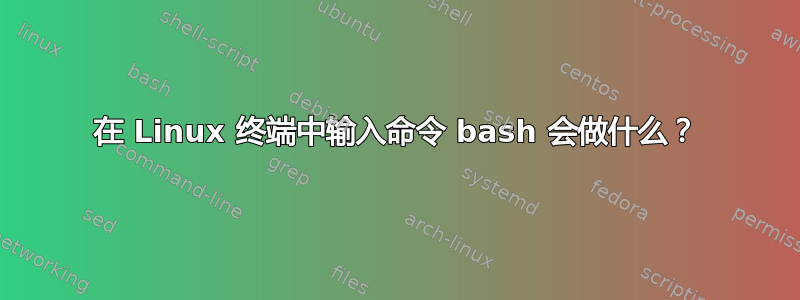 在 Linux 终端中输入命令 bash 会做什么？