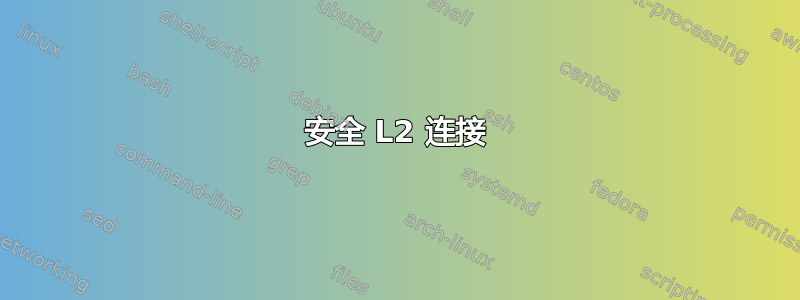 安全 L2 连接