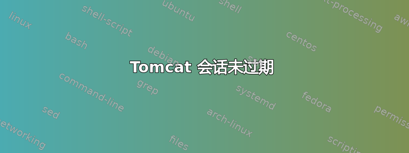 Tomcat 会话未过期