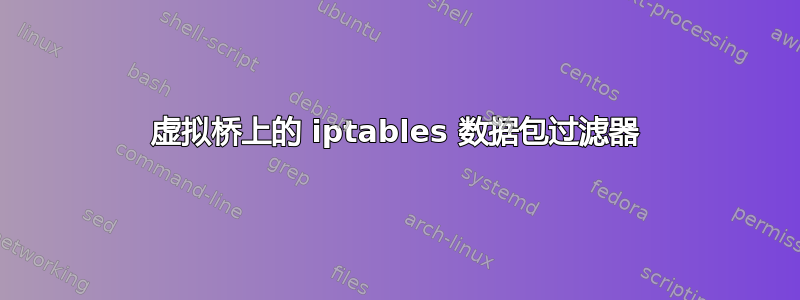 虚拟桥上的 iptables 数据包过滤器