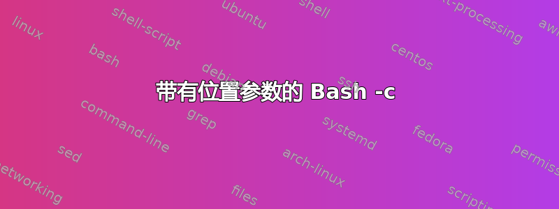 带有位置参数的 Bash -c