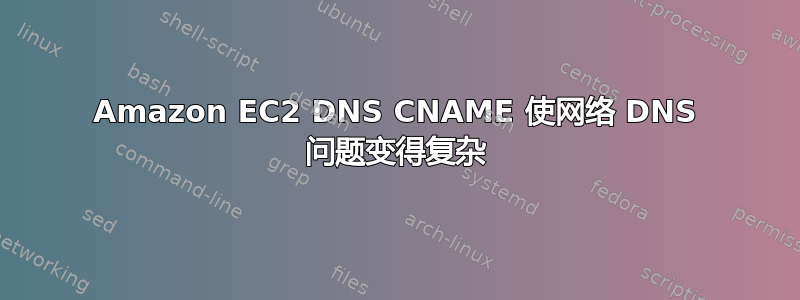 Amazon EC2 DNS CNAME 使网络 DNS 问题变得复杂