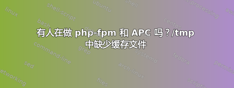 有人在做 php-fpm 和 APC 吗？/tmp 中缺少缓存文件