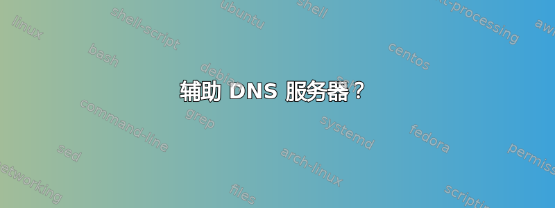 辅助 DNS 服务器？