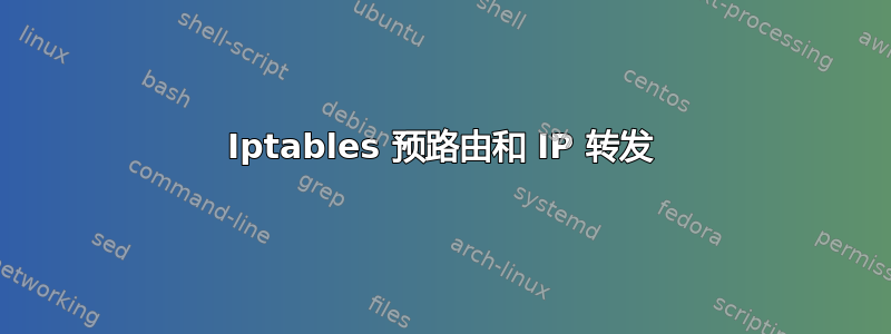 Iptables 预路由和 IP 转发