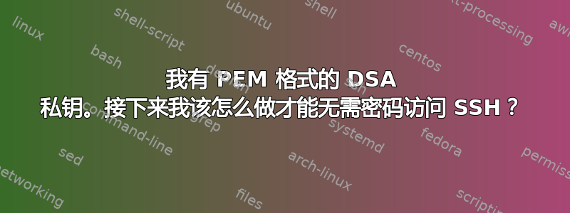 我有 PEM 格式的 DSA 私钥。接下来我该怎么做才能无需密码访问 SSH？