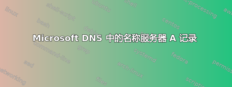 Microsoft DNS 中的名称服务器 A 记录