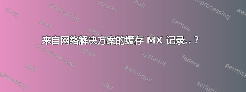 来自网络解决方案的缓存 MX 记录..？