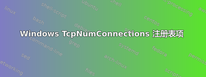 Windows TcpNumConnections 注册表项