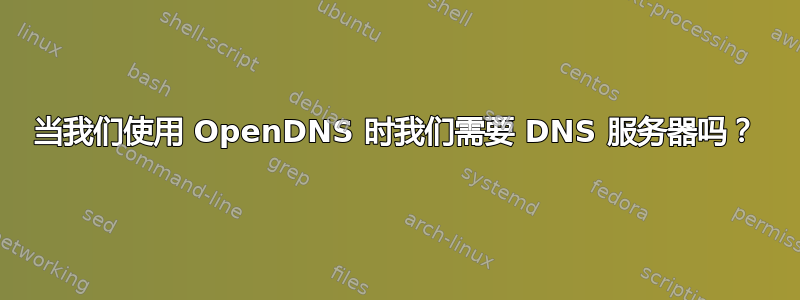 当我们使用 OpenDNS 时我们需要 DNS 服务器吗？