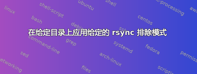 在给定目录上应用给定的 rsync 排除模式