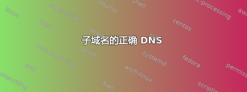 子域名的正确 DNS