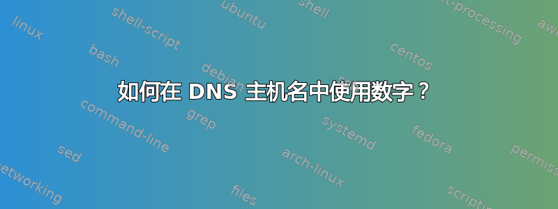 如何在 DNS 主机名中使用数字？