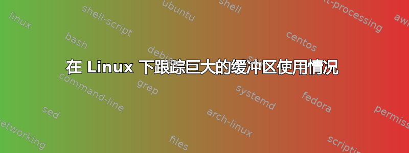 在 Linux 下跟踪巨大的缓冲区使用情况