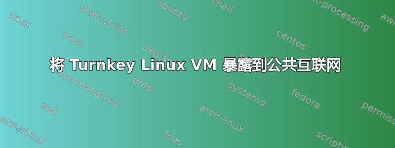 将 Turnkey Linux VM 暴露到公共互联网