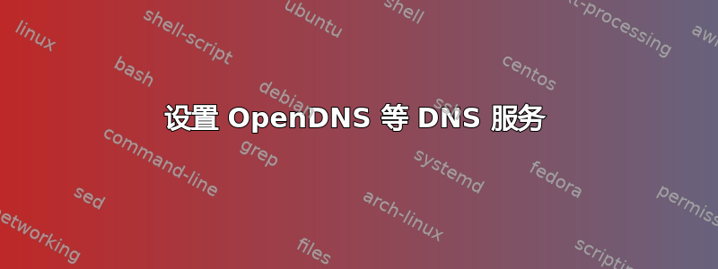 设置 OpenDNS 等 DNS 服务