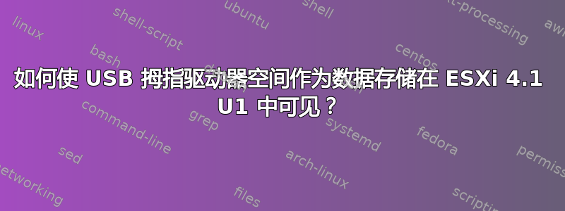 如何使 USB 拇指驱动器空间作为数据存储在 ESXi 4.1 U1 中可见？