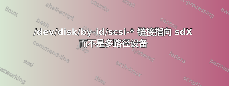 /dev/disk/by-id/scsi-* 链接指向 sdX 而不是多路径设备