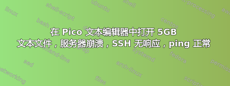 在 Pico 文本编辑器中打开 5GB 文本文件，服务器崩溃，SSH 无响应，ping 正常