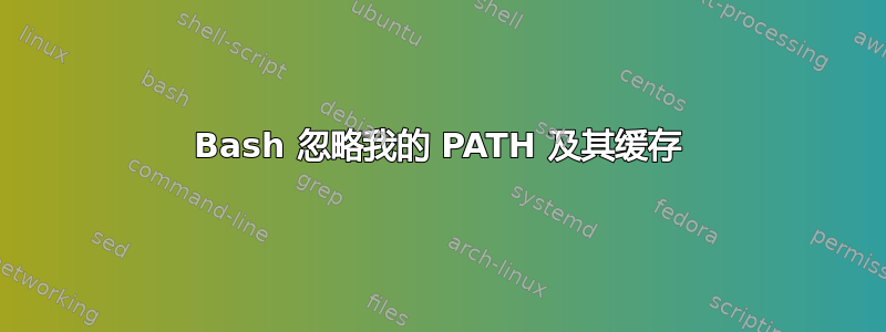 Bash 忽略我的 PATH 及其缓存