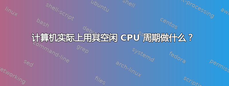 计算机实际上用其空闲 CPU 周期做什么？