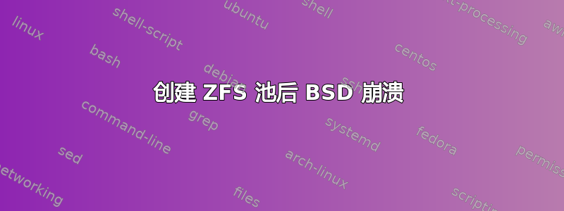 创建 ZFS 池后 BSD 崩溃