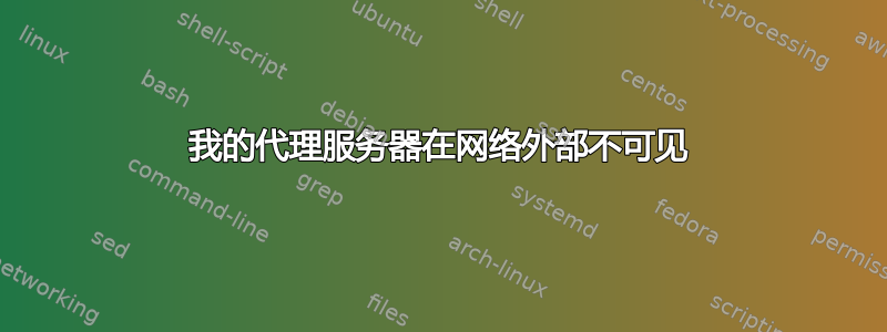 我的代理服务器在网络外部不可见