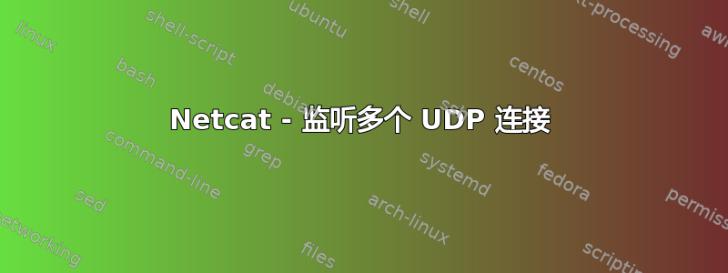 Netcat - 监听多个 UDP 连接