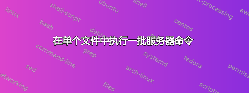 在单个文件中执行一批服务器命令