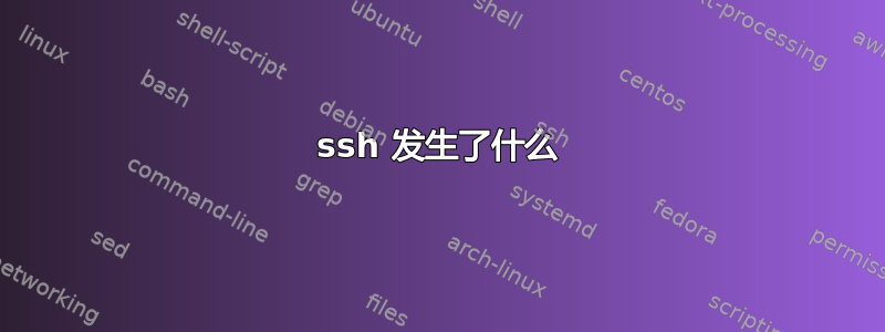 ssh 发生了什么