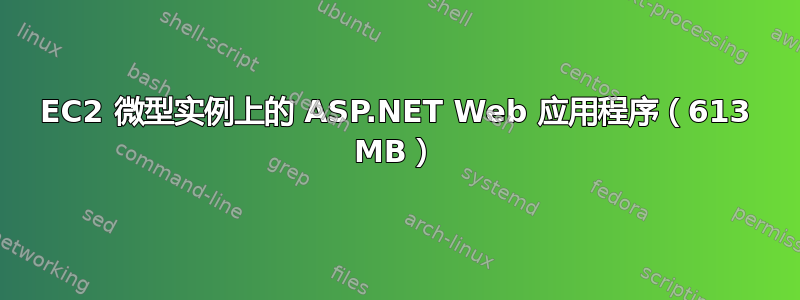 EC2 微型实例上的 ASP.NET Web 应用程序（613 MB）