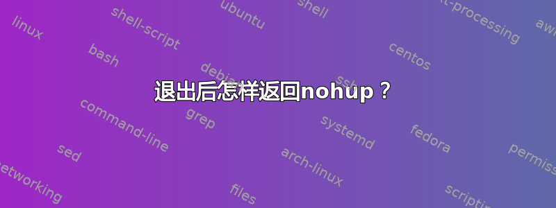 退出后怎样返回nohup？