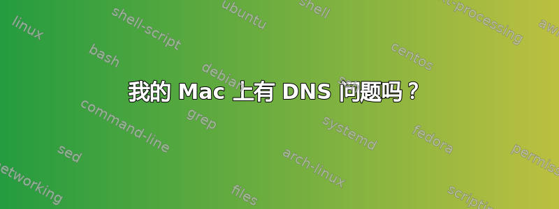 我的 Mac 上有 DNS 问题吗？