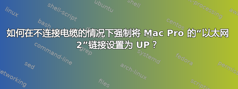 如何在不连接电缆的情况下强制将 Mac Pro 的“以太网 2”链接设置为 UP？