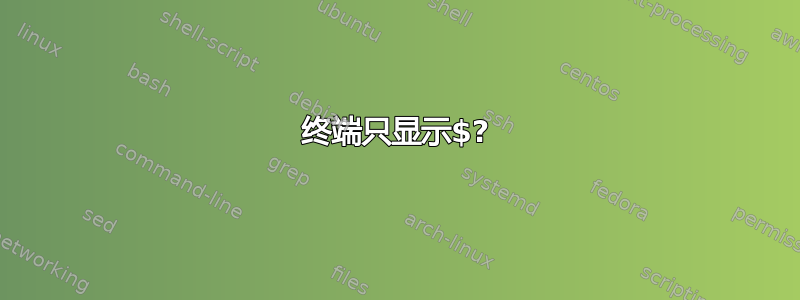 终端只显示$?