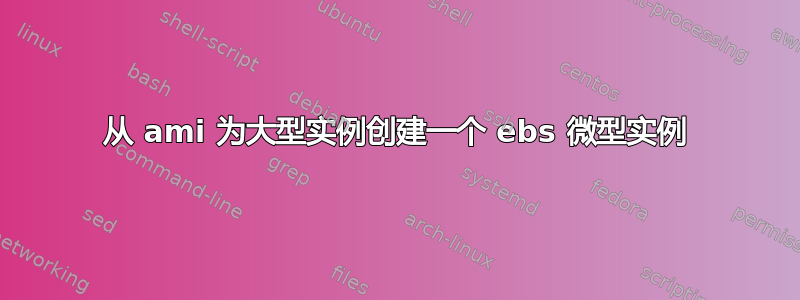 从 ami 为大型实例创建一个 ebs 微型实例