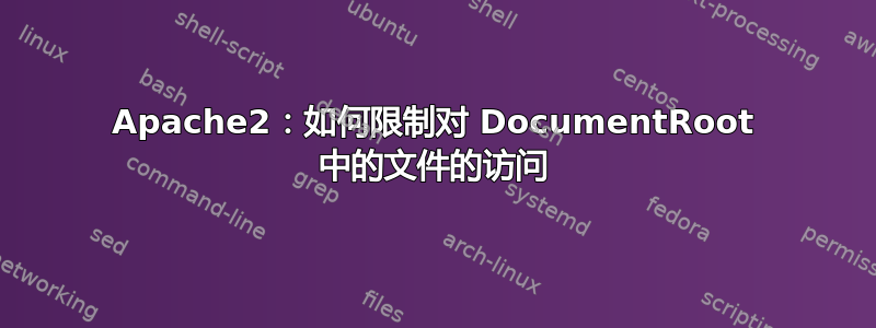 Apache2：如何限制对 DocumentRoot 中的文件的访问