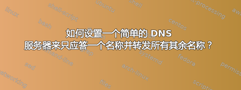 如何设置一个简单的 DNS 服务器来只应答一个名称并转发所有其余名称？