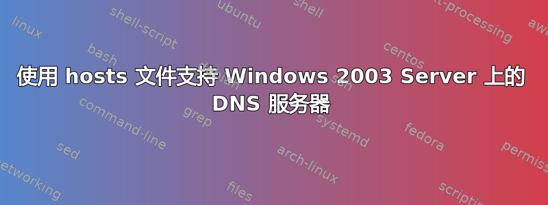 使用 hosts 文件支持 Windows 2003 Server 上的 DNS 服务器