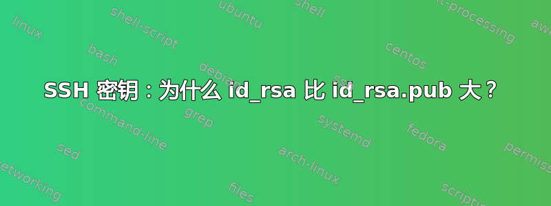 SSH 密钥：为什么 id_rsa 比 id_rsa.pub 大？