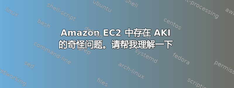 Amazon EC2 中存在 AKI 的奇怪问题。请帮我理解一下