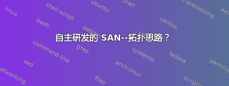 自主研发的 SAN--拓扑思路？